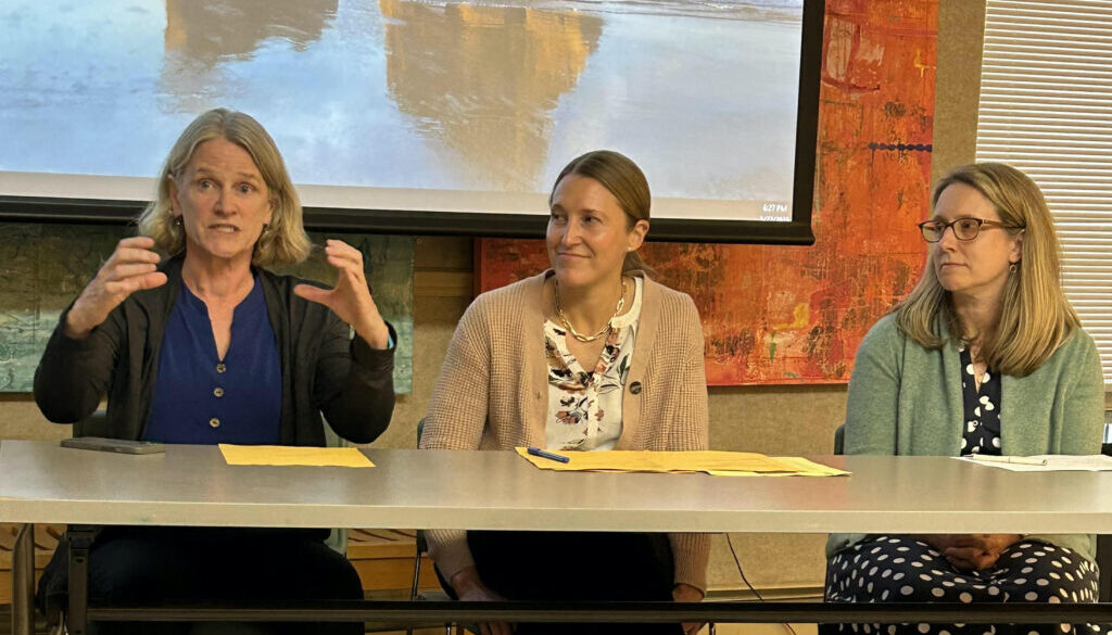 The Screenage Survival Kit for Parents/Caregivers panel discussion on May 27 at Oliver Wolcott Library (OWL) featured a lively discussion between the panel and the audience of approximately 25 in-person attendees and others on Zoom.