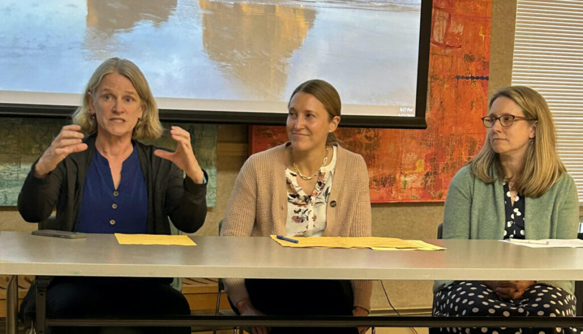 The Screenage Survival Kit for Parents/Caregivers panel discussion on May 27 at Oliver Wolcott Library (OWL) featured a lively discussion between the panel and the audience of approximately 25 in-person attendees and others on Zoom.