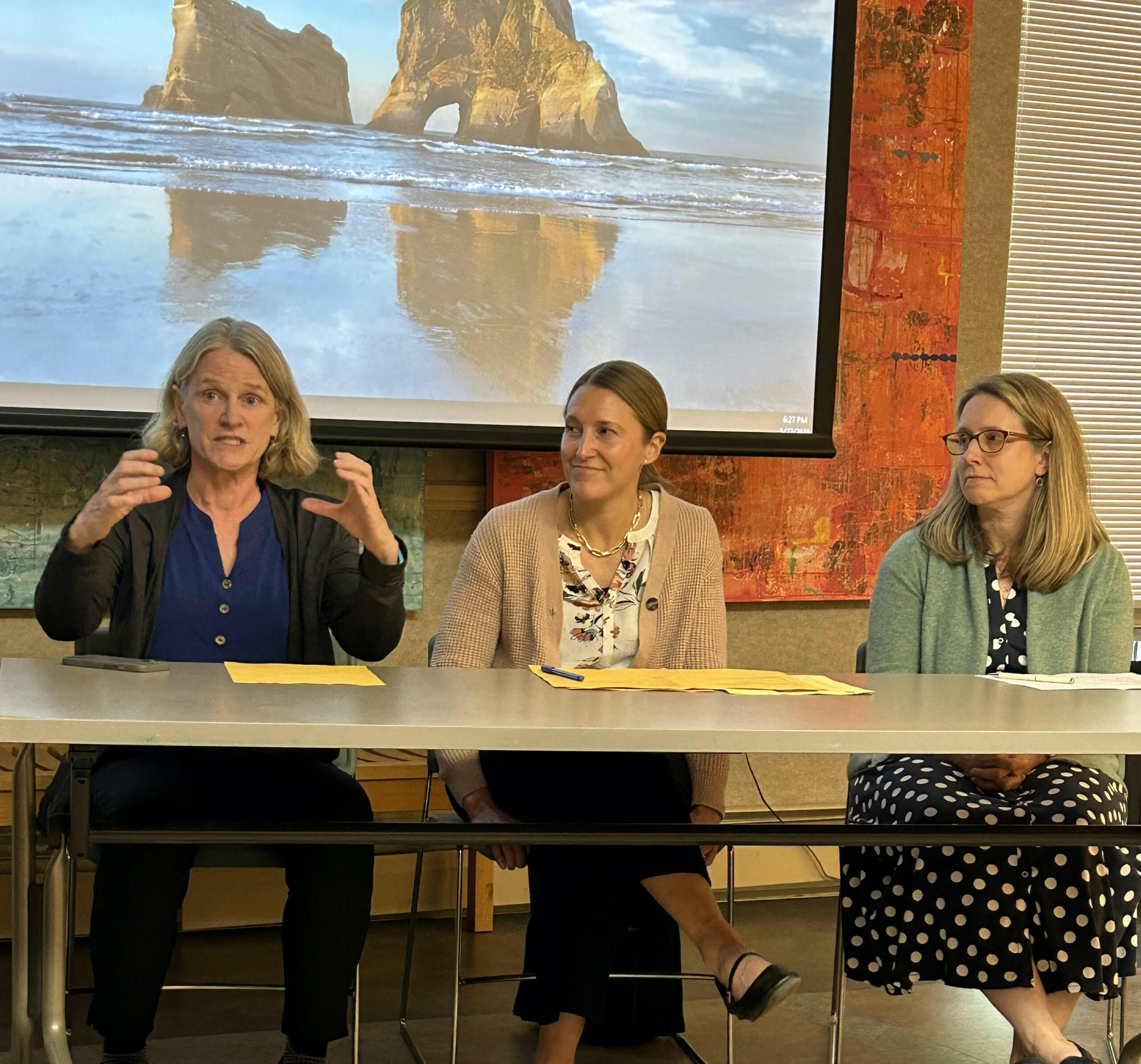 Screenagers event 2 The Screenage Survival Kit for Parents/Caregivers panel discussion on May 27 at Oliver Wolcott Library (OWL) featured a lively discussion between the panel and the audience of approximately 25 in-person attendees and others on Zoom.